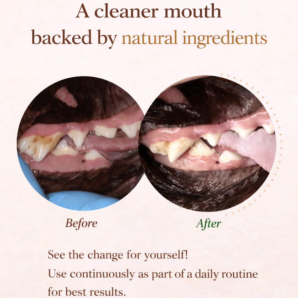MyPetVibe™ Advanced Pet Dental Powder